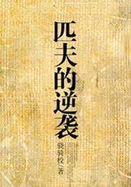 匹夫的逆袭"